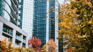 Bellevue, WA