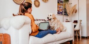 Home pets