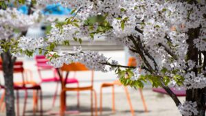 Redmond WA Property Management