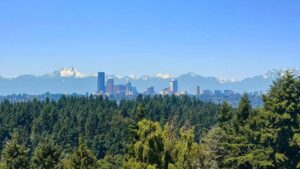 Woodridge Neighborhood in Bellevue