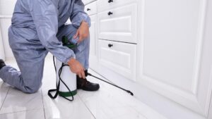 pest control